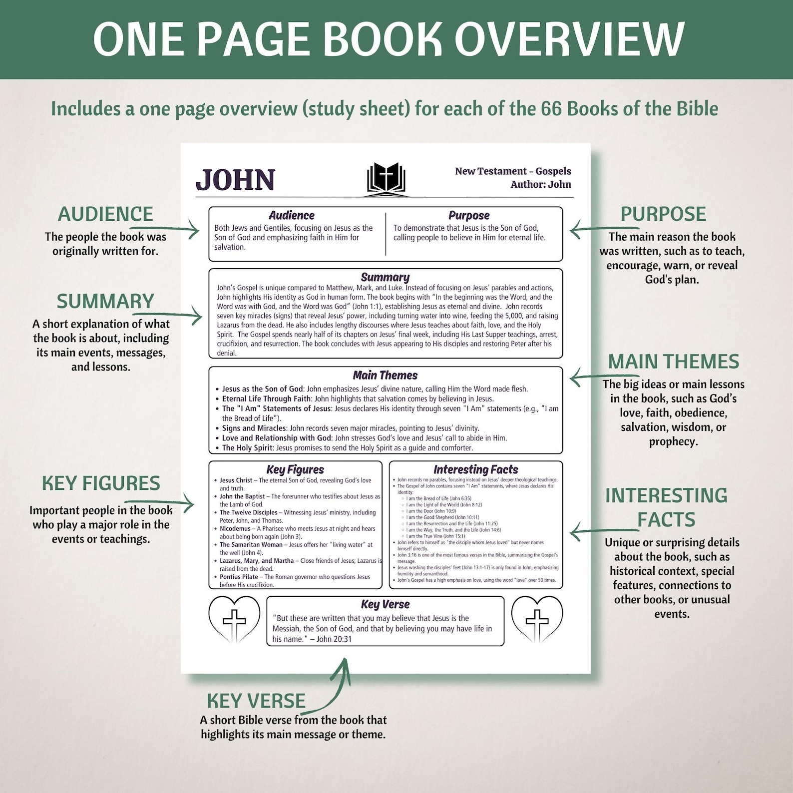 Bible Study Guide, Bible Study Tool, Books of the Bible Summary Sheets ...