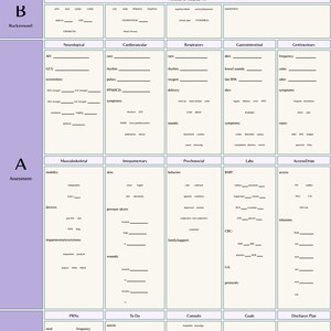 Nurse Report Sheet