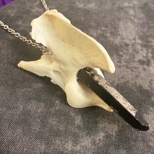 REAL Vertebrae | Handmade Jewelry | Coyote Bone | Necklace | Smokey Quartz | Genuine