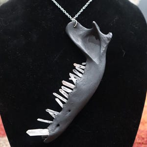 HANDMADE | REAL | Handcrafted Jewelry | REAL Bone Necklace | Coyote Jaw Bone | Quartz