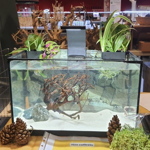 Juego de 2 maceteros colgantes para acuario: decoración única de plantas y paredes verdes para acuario