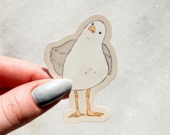 Seagull Sticker | Cute Animal Vinyl Decal | Gift for Bird Lover