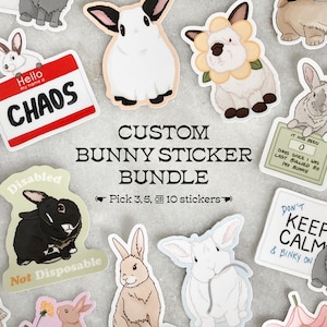 Peut inclure: Un ensemble d'autocollants de lapins personnalisés avec divers designs. Les autocollants présentent des lapins de dessins animés avec des expressions variées et du texte, dont "CHAOS" et "Don't Keep Calm & Binky On". Le lot propose de choisir 3, 5 ou 10 autocollants.