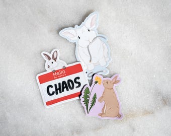 Bunny Sticker Bundle | Rabbit Vinyl Decals | Sticker Set | Gift for Bunny Lovers