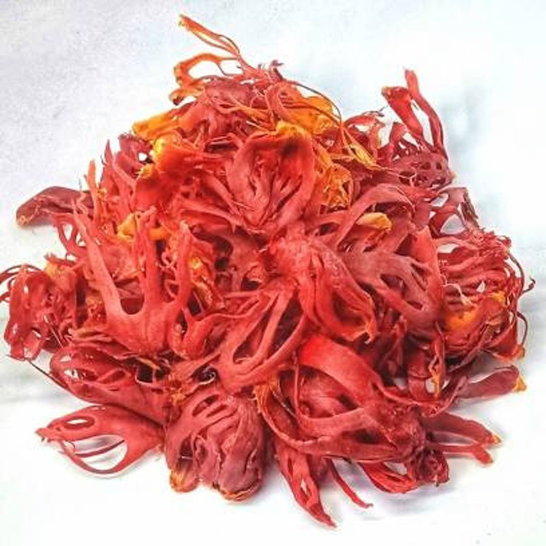 Dried Nutmeg Flower Whole Nutmeg Flower Mace Etsy