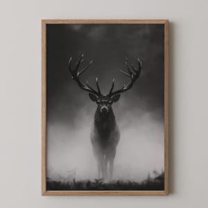 May include: A framed black and white wall art print featuring a majestic stag with large antlers standing in a dense, misty forest. The deer is positioned centrally, facing forward, surrounded by thick fog that obscures the lower forest floor.