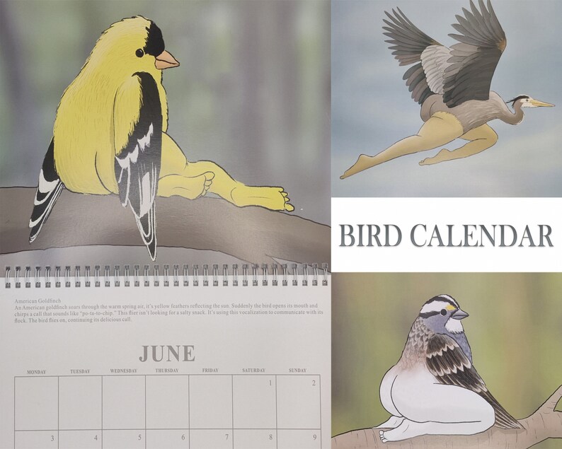 Buy 2024 Calendar of Extremely Accurate Birdsfunny Bird Calendar Online