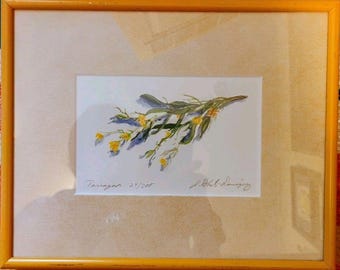 Jan Roberts-Dominguez Dragon Signerad Limited Edition Akvarelltryck 24/500 Inramad