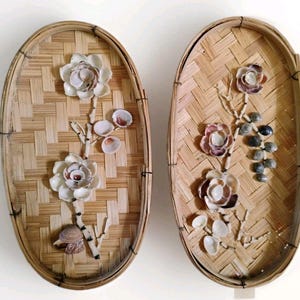 Philippine seashells - Etsy 日本