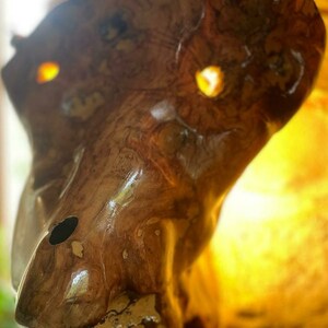 Lamp from olive trees. Light sculptures olive wood zdjęcie 6