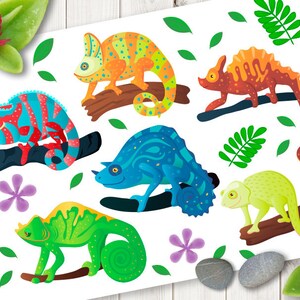 Ensemble de vecteurs de dessin animé caméléon iguane reptile lézard. Clipart vectoriel mignon. Clip art animaux. Fichiers SVG, EPS, PNG. Utilisation commerciale.