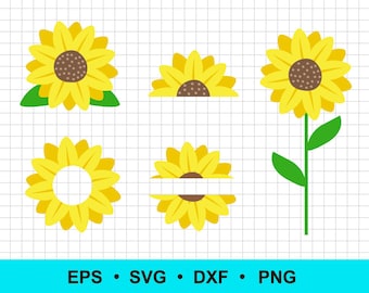 Solros SVG-klippfiler: Lagerbelagd vektorgrafik (digital nedladdning)