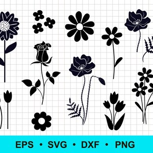 Flower SVG, PNG, DXF, eps. Simple flower shape cut files. Daisy, tulip, poppy, sunflower, rose silhouette. Floral digital vector clipart.