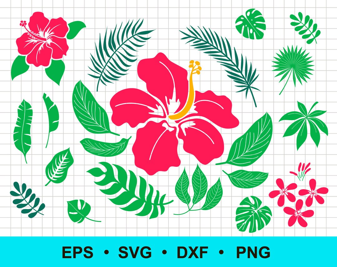 Tropical Leaves and Hibiscus Flower SVG Files - Layered Color Designs ...