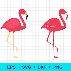 Flamingo SVG Files - Silhouette and Layered Color Designs for Crafting, DIY Projects, and Laser Cutting. SVG dxf png eps commercial clipart.