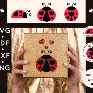 Puede incluir: Una caja dorada con purpurina con un diseño de mariquita, sostenida por manos. La mariquita tiene un cuerpo rojo con manchas en forma de corazón y alas negras. También hay ilustraciones de mariquitas y gráficos de corazones. El texto incluye "SVG, PDF, DXF, PNG" y "DIGITAL ONLY."