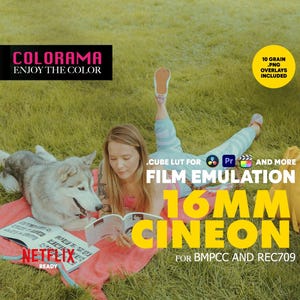 16 mm film - Etsy 日本 16 mm film - Etsy 日本