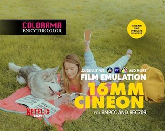 16MM CINEON Film Emulation Lut for BMPCC Rec709 Professional Color Grading .cube Lut - Vintage Cinematic Colors - DaVinci Resolve and more