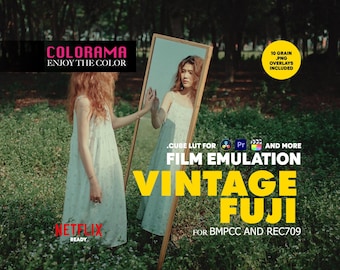 VINTAGE FUJI Film Emulation Lut for BMPCC Rec709 Professional Color Grading .cube Lut - Vintage Cinematic Colors - DaVinci Resolve and more