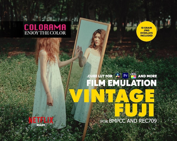 VINTAGE FUJI Film Emulation Lut for BMPCC Rec709 Professional Color Grading .cube Lut - Vintage Cinematic Colors - DaVinci Resolve and more