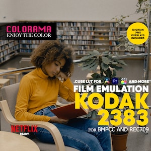 KODAK 2383 Film Emulation LUT for BMPCC and Rec709 - Professional Color Grading .cube Lut - Cinematic Colors - DaVinci Resolve and more
