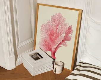 Cartel de coral marino rosa intenso, decoración de habitación playera, abuela costera, arte de conchas marinas, cartel de surf, decoración de dormitorio preppy, casa de playa, chica de coco
