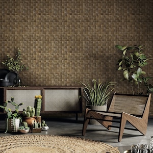 May include: A brown wicker chair with a woven seat and back sits in front of a wooden cabinet with woven doors. The cabinet is against a wall with a brown tile pattern. There are potted plants on the floor in front of the cabinet.