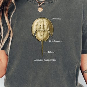 Puede incluir: Camiseta gris oscuro con una ilustración detallada de un cangrejo herradura, etiquetada con términos anatómicos. El diseño incluye las palabras "Prosoma", "Opisthosoma", "Telson" y "Limulus polyphemus" en un estilo científico.