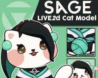 Valorant Sage Cat Vtuber Model: Ready to Use LIVE2D Avatar