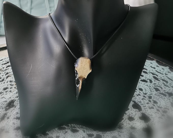 Raven Skull Necklace & Earrings Set