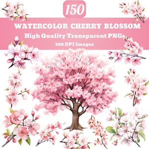 Aquarell Kirschblüte PNG Clipart Bundle, Aquarell Clipart, Blumen Clipart, Sakura Clipart, Sublimation png, Frühling Clipart