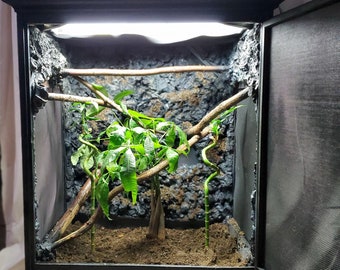 Reptile enclosure accessories new arrivals