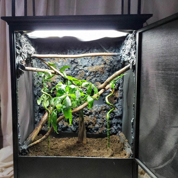 Custom Arboreal Reptile Enclosure- Bioactive Ready