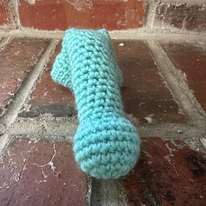 Crochet Packer- blue