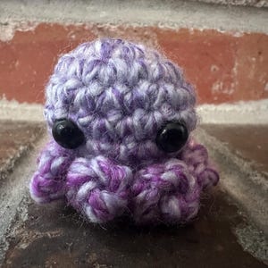Tiny Crochet Octopus
