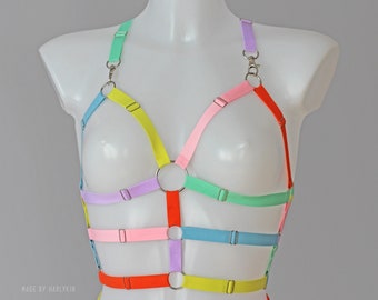 May include: A colorful harness made of multiple straps in different colors, including red, yellow, blue, green, and pink. The harness has metal rings and clasps.