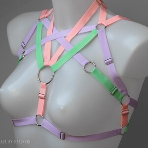 May include: A pastel pink, green and purple harness with silver rings. The harness is made of ribbon and is designed to be worn over the chest.