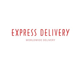 EXPRESS DELIVERY