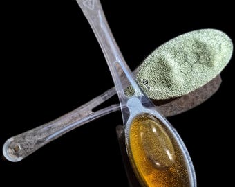 Cucharas de miel cruda R&C Low Country Bees