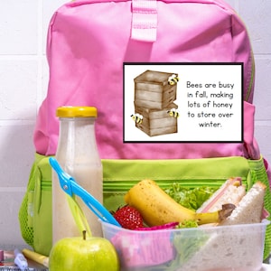 Può includere: Uno zaino rosa con una cerniera verde e una lunchbox piena di banana, un panino e fragole. Un appunto sullo zaino dice "Le api sono impegnate in autunno, facendo molto miele da conservare per l'inverno."