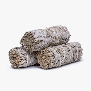White Sage Smudge Sticks Bundles (4&quot;)