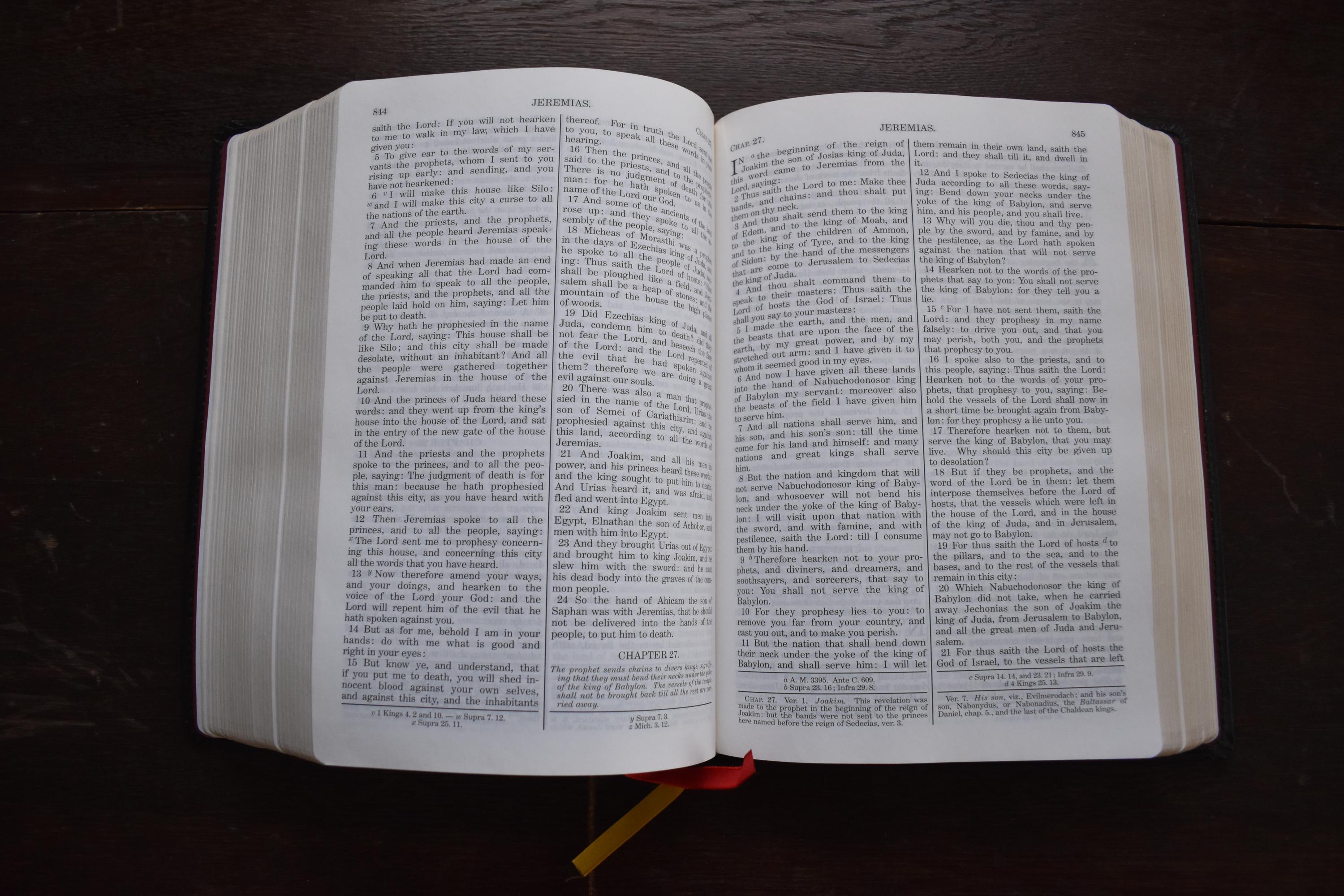 Bishop Challoner Douay-rheims Bible. Baronius Press. - Etsy