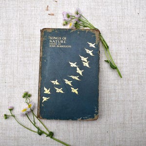 May include: An antique book titled "Songs of Nature" with a dark teal cover and gold bird illustrations. The book is surrounded by small wildflowers on a neutral linen surface. The book's cover is worn, suggesting age.