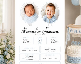 Editable First Birthday Milestone Poster Template, Editable First Birthday Stats Sign, Minimalist First Year Milestone Sign Instant Download