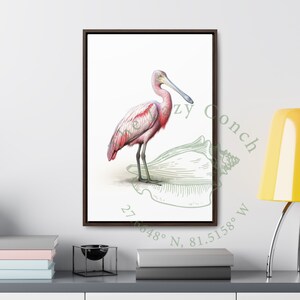 Spoonbill Canvas Wrapped Frame, Tropical bird print for coastal decor, Coastal wall art, Spoonbill framed print for beach house