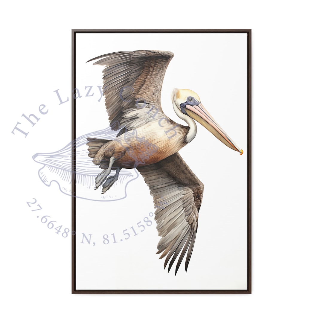 Flying Pelican Canvas Wrapped Frame, Pelican Print Many Sizes, High End