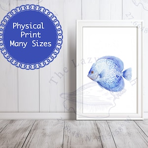 Blue Discus Matte Vertical Print, Modern Coastal Wall Art, Discus Fish Art
