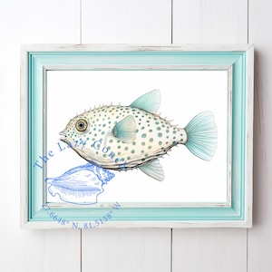 Pufferfish Watercolor Painting, Minimalist Coastal Room Decor, Watercolor Tropical Fish, Modern Fine Art Posters, Pufferfish Print for homes