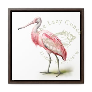 Roseate Spoonbill Canvas Wrap, Square Frame of Spoonbill, Coastal birds of Florida, Pink bird art , minimalistic bird  canvas framed print