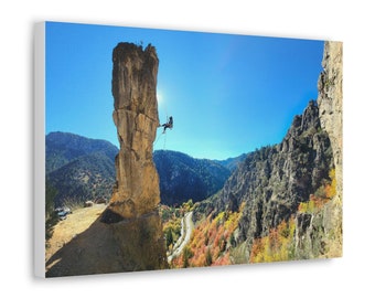 May include: A rock climber rappels down a tall, thin rock formation in a canyon. The rock is a light brown color and the canyon is filled with trees. The sky is blue and the sun is shining.